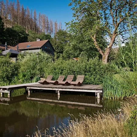 Dom wakacyjny Tiny House Nature 2 - Tiny Village Harz